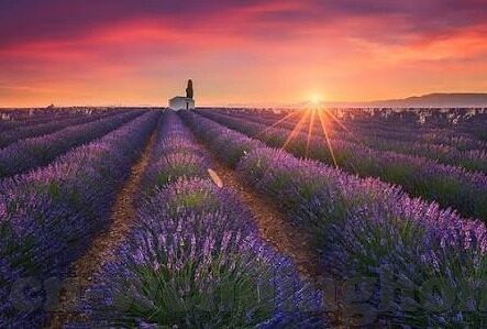 竞彩新浪比分足球-竞彩新浪比分足球，球迷的激情与智慧的碰撞场